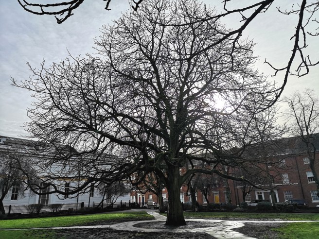 Museum Square, New Walk, Leicester where Molly would eat her lunch.